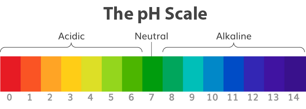 The Ph Scale Alkaline Water